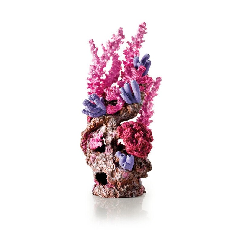 biorb barriera corallina rossa