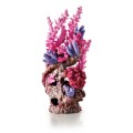 biorb barriera corallina rossa