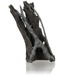 biOrb radice Amazzonia media