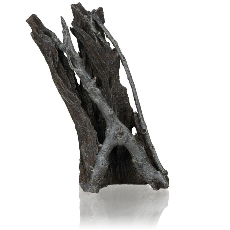 biOrb radice Amazzonia media