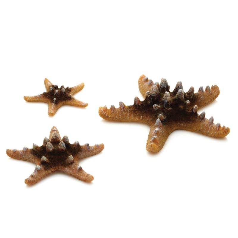 biOrb Starfish Set natural