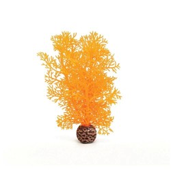 biorb corallo s arancio