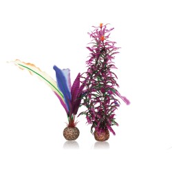 biOrb penna papagallo piccola