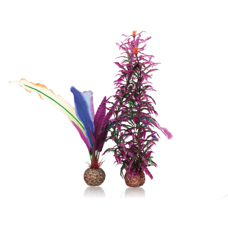 biOrb penna papagallo piccola