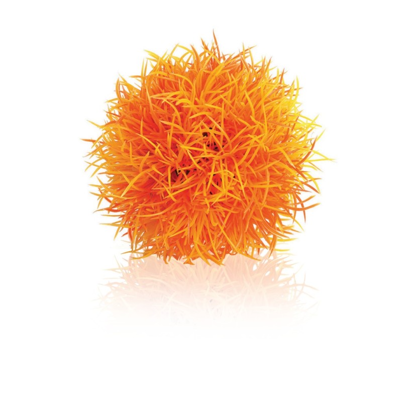 biOrb pianta sferica arancio