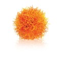 biOrb pianta sferica arancio