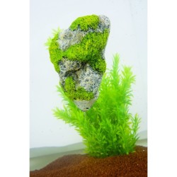 ROCCIA GALLEGGIANTE M