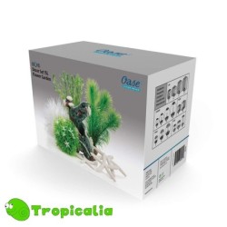 Biorb Set Decorazione Flower Garden Per 15l