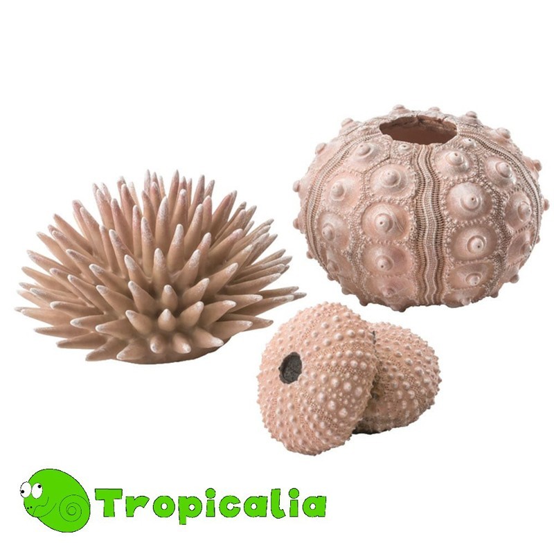 Biorb Kit 3 Sea Urchins Natural - Ricci Di Mare