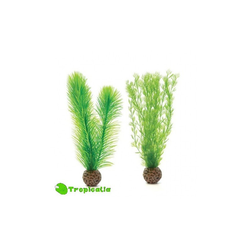 Biorb Piuma Marina S Verde