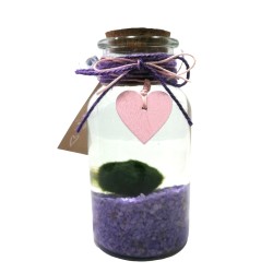 Marimo viola con cuore
