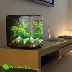 Biorb Flow 15 Mcr Nero