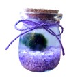 Marimo mini viola