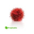 Biorb  Aquatic Colour Ball - Pianta Sferica Rossa