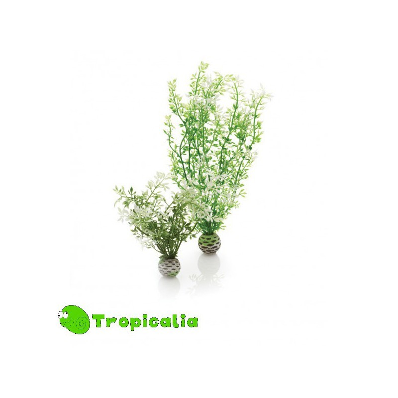 Biorb  Aquatic Winter Fllower Set - Fiori Invernali