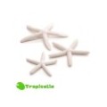 Biorb  Starfish - Set 3 Stelle Marine Bianche