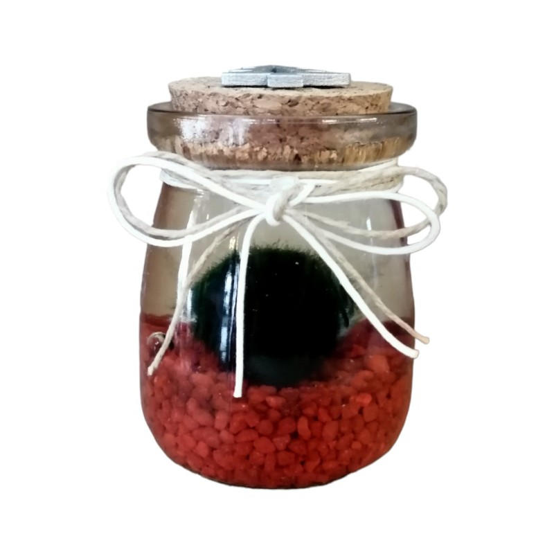 Marimo mini Natalizio rosso