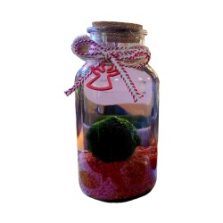 Marimo grande Natalizio rosso