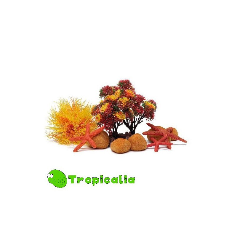 Biorb Set Decorazione Autumn Per 15l