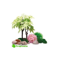 Biorb Set Decorazione...