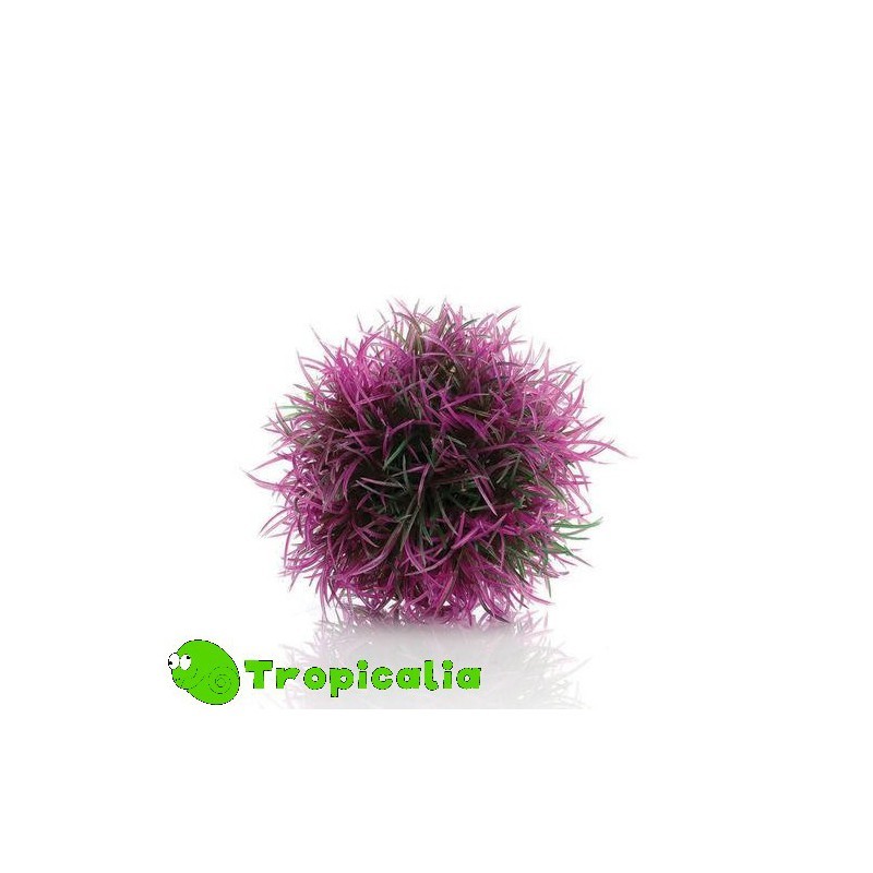 Biorb  Aquatic Colour Ball - Pianta Sferica Porpora