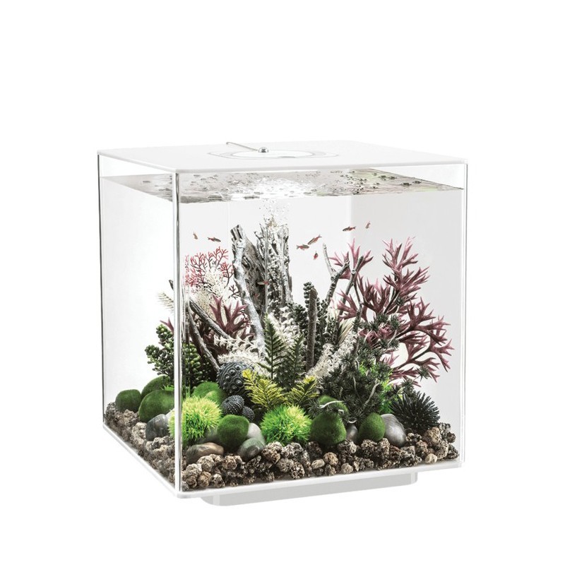 Biorb Cube 30 Mcr Trasparente