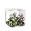 Biorb Cube 30 Mcr Trasparente