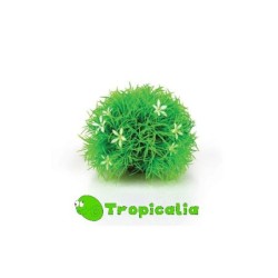 Biorb Pianta Topiaria Con...