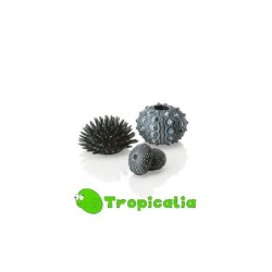 Biorb Set Riccio Di Mare Nero