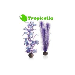 Biorb Set Alga Media Viola