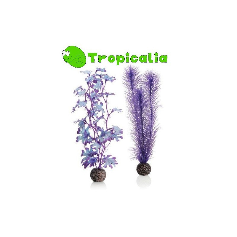 Biorb Set Alga Media Viola