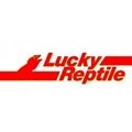 Lucky Reptile