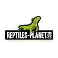 Reptiles Planet
