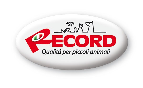 Record
